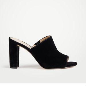 BRAND NEW HAYDEN VELVET HEELED MULES